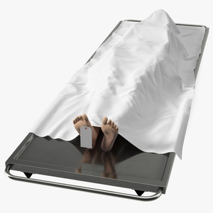 3D model Female Dead Body Covered with Cloth