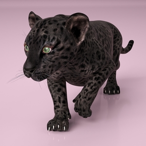 Black Leopard Cub Rigged 3D model