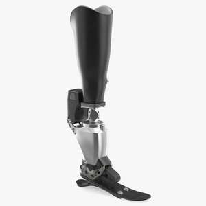 Modern Prosthetic Foot 3D