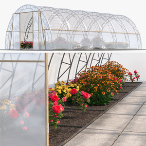 Greenhouse Winter Garden with Flowers 3D