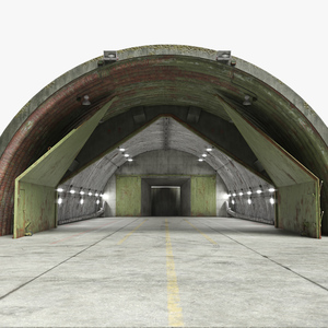 3D Abandoned Aircraft Shelter Open