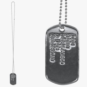 3D model Military Dog Tag Hang Straight