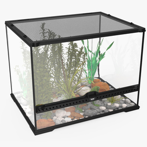 Medium Size Terrarium with Green Iguana 3D model