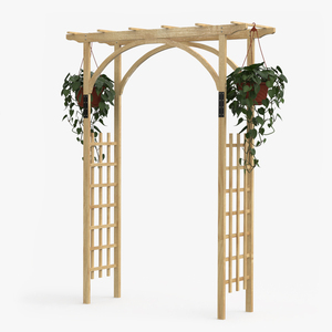 3D Garden Arch Trellis with Climbing Plants in Hanging Pots