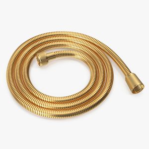 Flexible Shower Hose Golden 3D