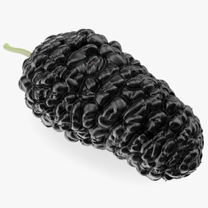 3D model Mulberry Fruit Black