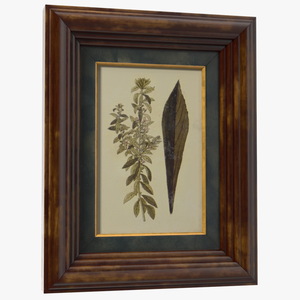 3D Picture Frame Dark Wood with Gold model