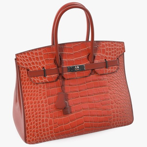 Hermes Birkin Bag Alligator 3D