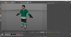 Hockey Player Green 3D model