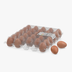 Egg Plastic Packaging with Label 3D