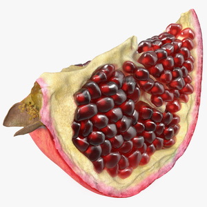 Slice Pomegranate 3D