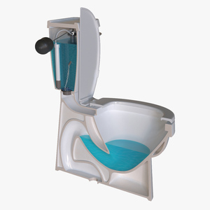 3D model Toilet Cross Section