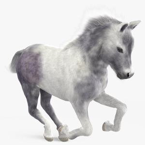 3D Running Shetland Pony White Fur