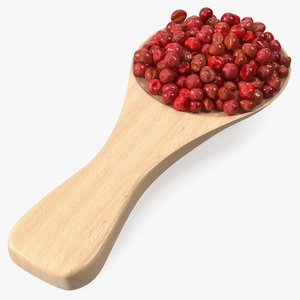 Spoon of Red Dried Peppercorn 3D model