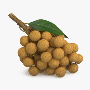 3D Longan Exotic Fruit Bundle