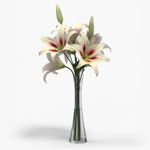 3D model Realistic Lily Flowers in Vase