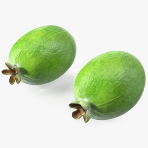 Feijoa Fruit 3D