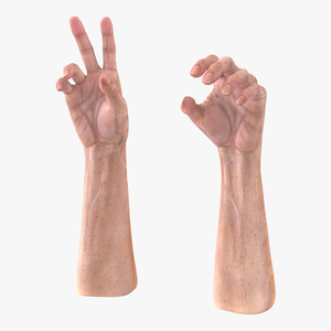 Old Man Hands 3 Rigged 3D