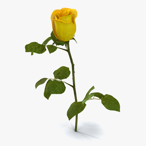 3D Rose 2 Yellow model