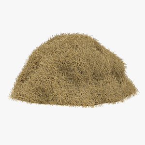 3D model Hay Pile