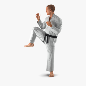 3D model Karate Fighter Pose 3 with Fur