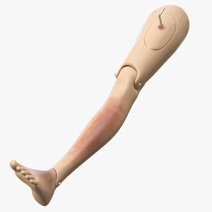 3D model Injured Firstaid Mannequin Leg