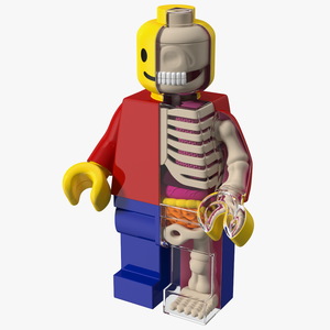 3D Anatomical LEGO Man Transparent