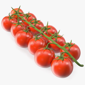 Cherry Tomatoes on the Vine 3D