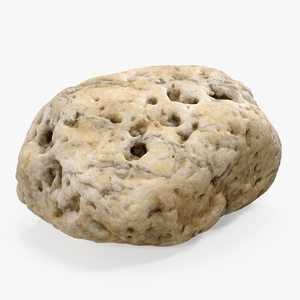 3D model Small Sea Rock with Holes