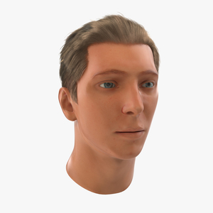 3D Male Head Rigged 2 model