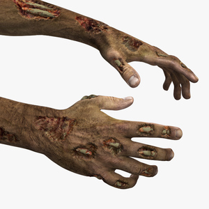 Realistic Zombie Hands 3D