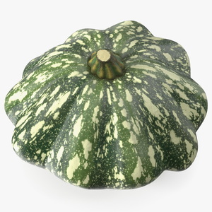 Green Color Bush Pumpkin 3D model