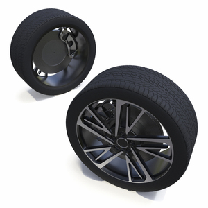 Alloy Wheel with Tires 3D