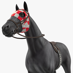 3D model Racehorse Black