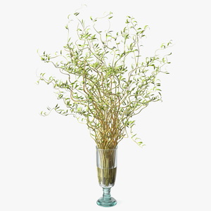 3D Curly Willow Branches with Leafs in Glass Vase