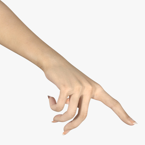 3D Realistic Female Hand Rigged model