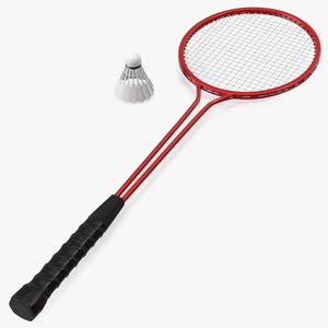 3D model Badminton Racquet Set With Nylon Shuttle