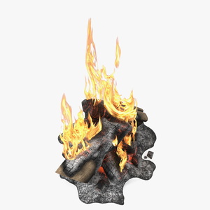 3D model Campfire with Flames