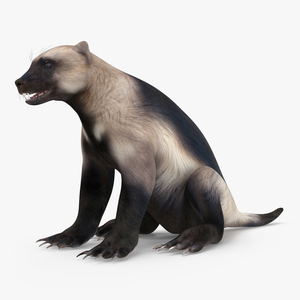 Wolverine Light Color Sitting Pose 3D model