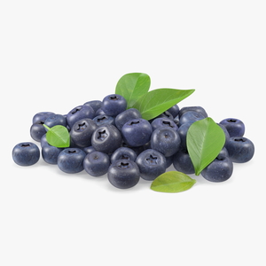 Bunch of Garden Ripe Blueberries 3D