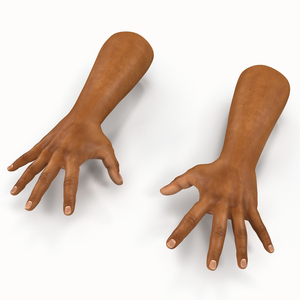 3D African Man Hands 2 Pose 4