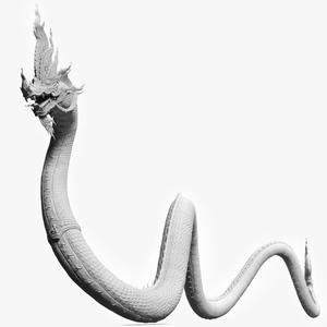 3D Naga Dragon White Crawling