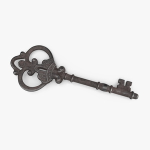 Decorative Skeleton Key Steel 3D model