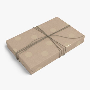 Wrapped Gift Box with String Tie 3D