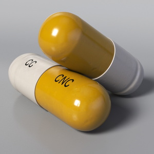 Yellow and White Capsule 3D model