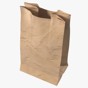 Paper Grocery Bag 3D