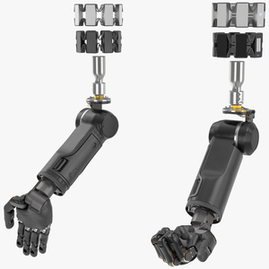 Brain Controlled Prosthetic Limbs Rigged for Cinema 4D 3D model