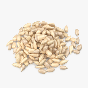 Peeled Sunflower Seeds Pile 3D