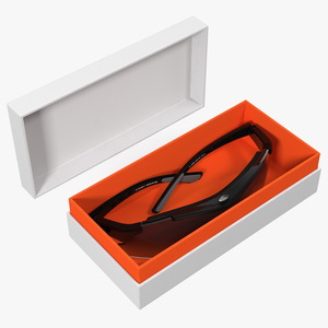 Sunglasses in Box 3D