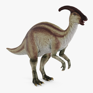 3D Parasaurolophus Dinosaur Rigged